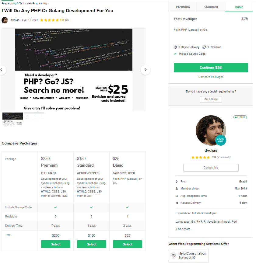 example of fiverr gig